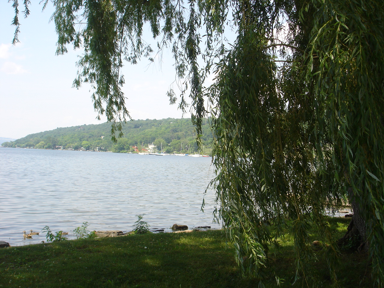 From a Stewart Park bench looking out on Cayuga Lake